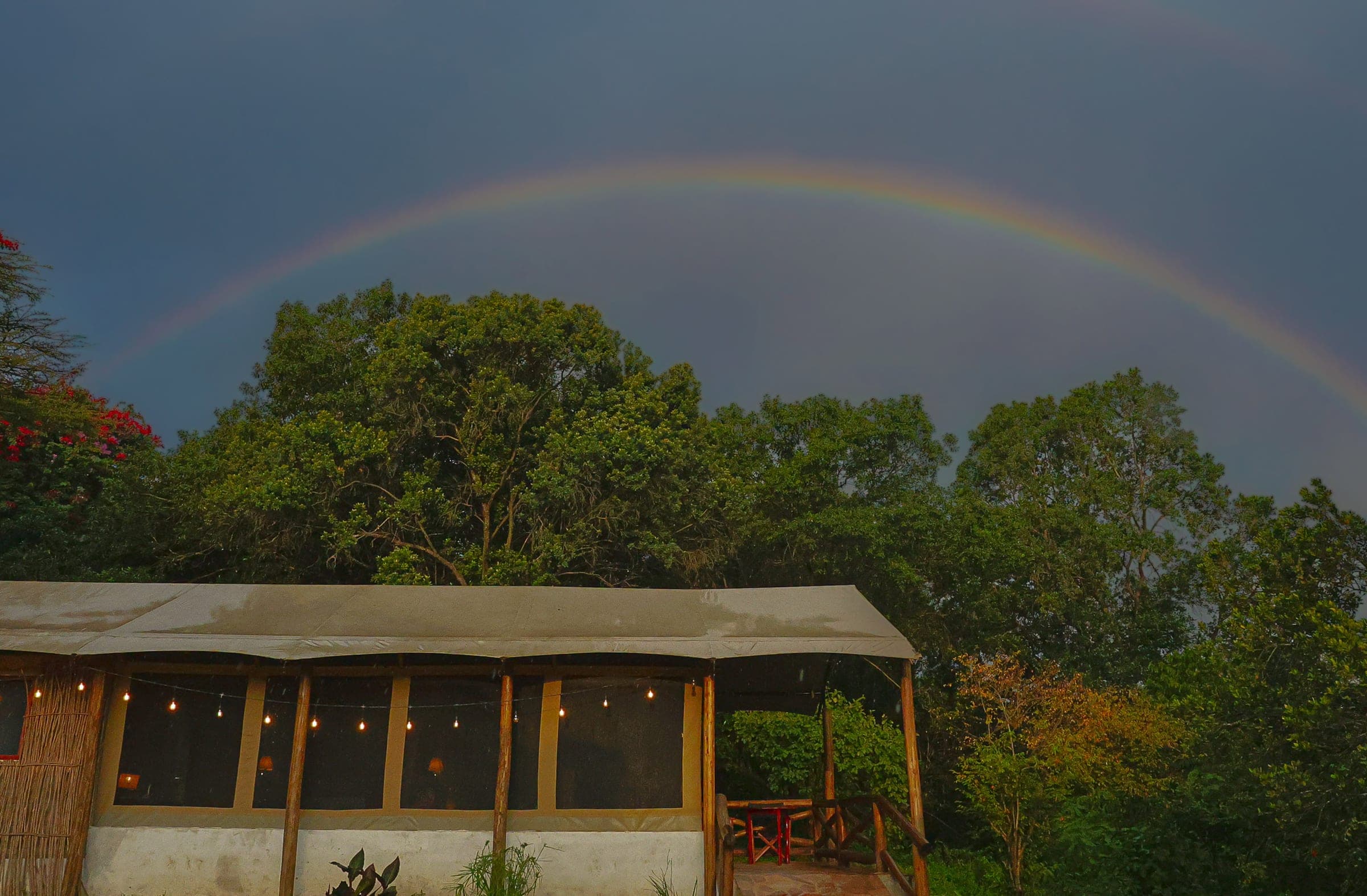 Double rainbow over the Executive Twin Tent after rain, the forest bright around it