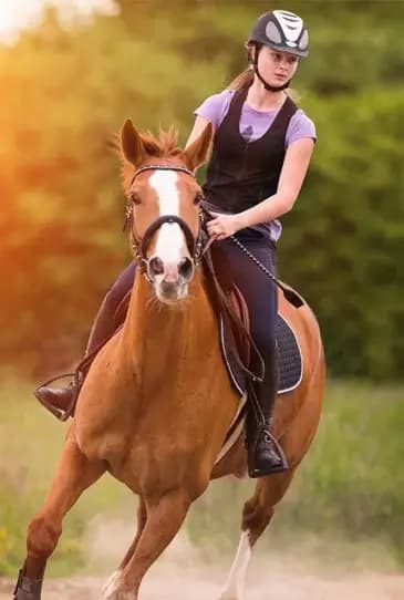 Horse riding