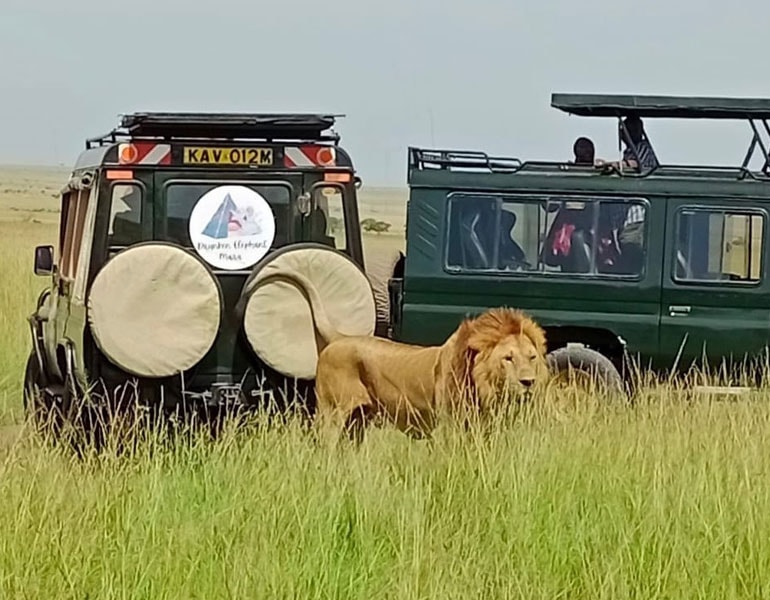 Beyond the Big Five