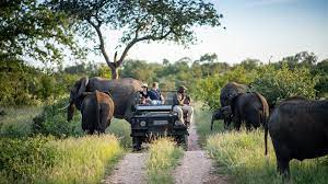 Masai Mara Game Drives