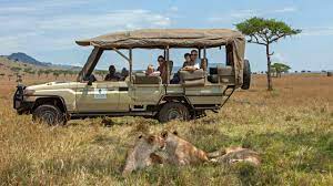 Masai Mara Game Drives