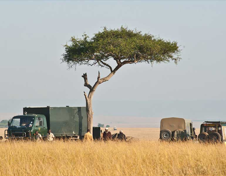 Masai Mara Luxury Safari