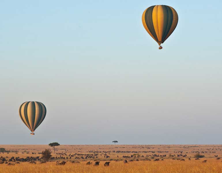 Hot Air Balloon