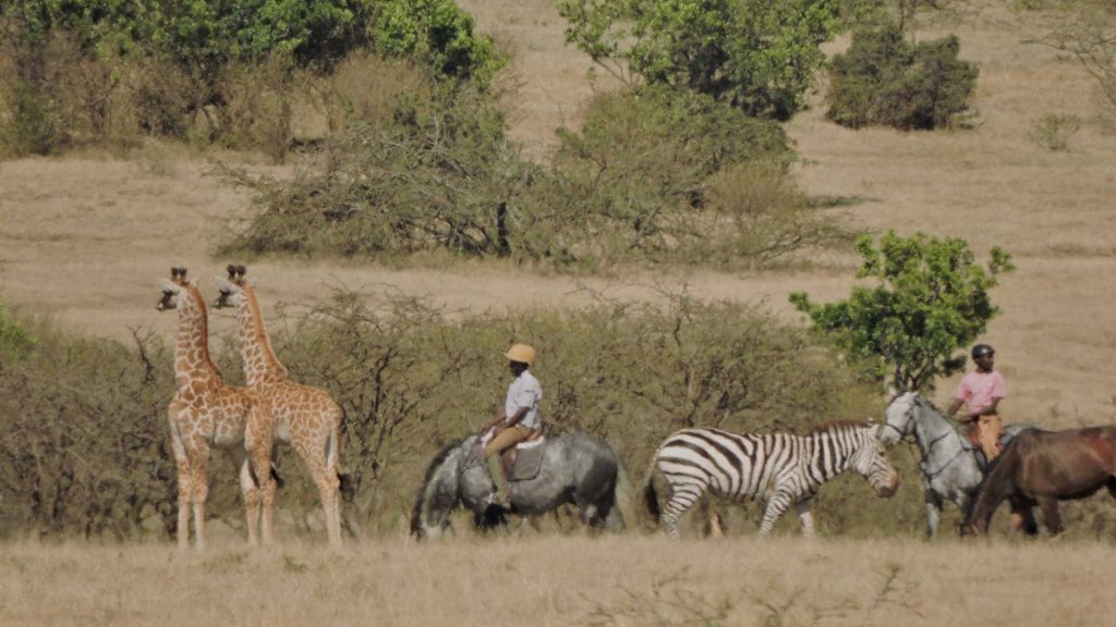 Horse Riding Safari