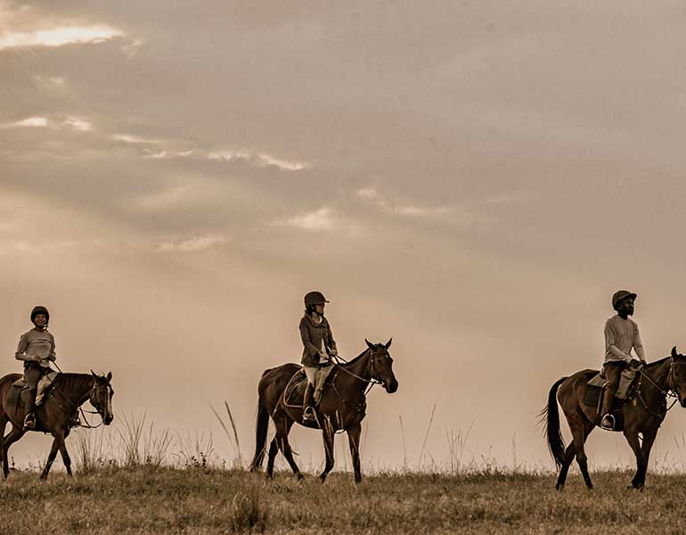 Horse Riding Safari