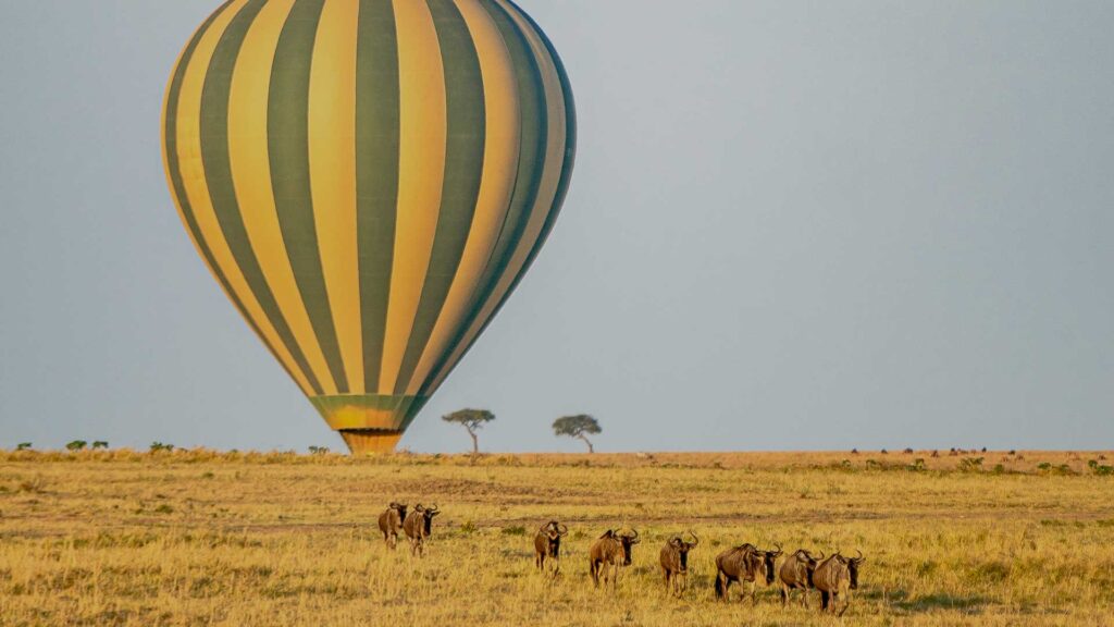 Hot Air Balloon Safaris