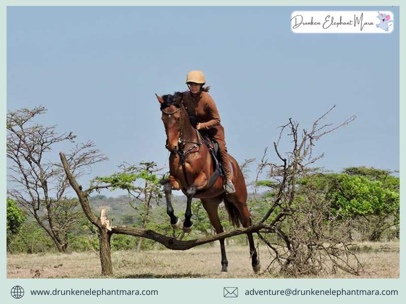 Horseback safaris