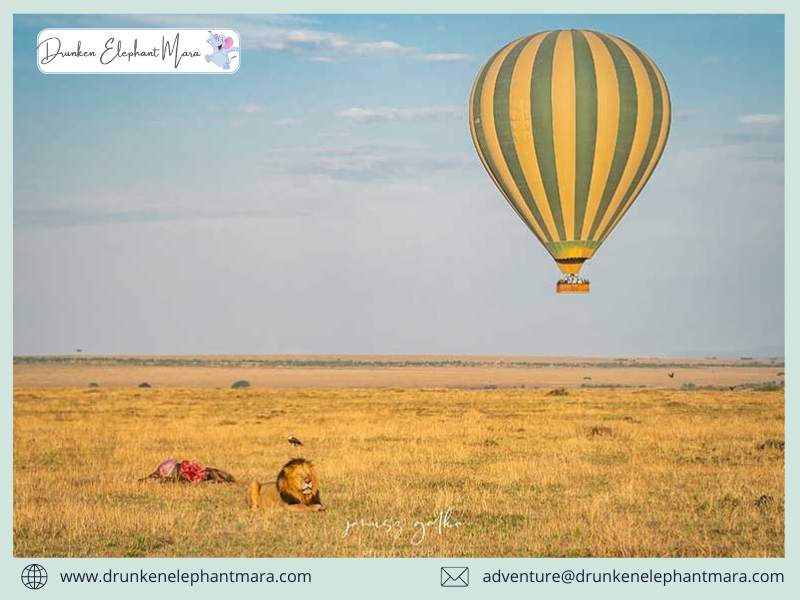 hot air balloon