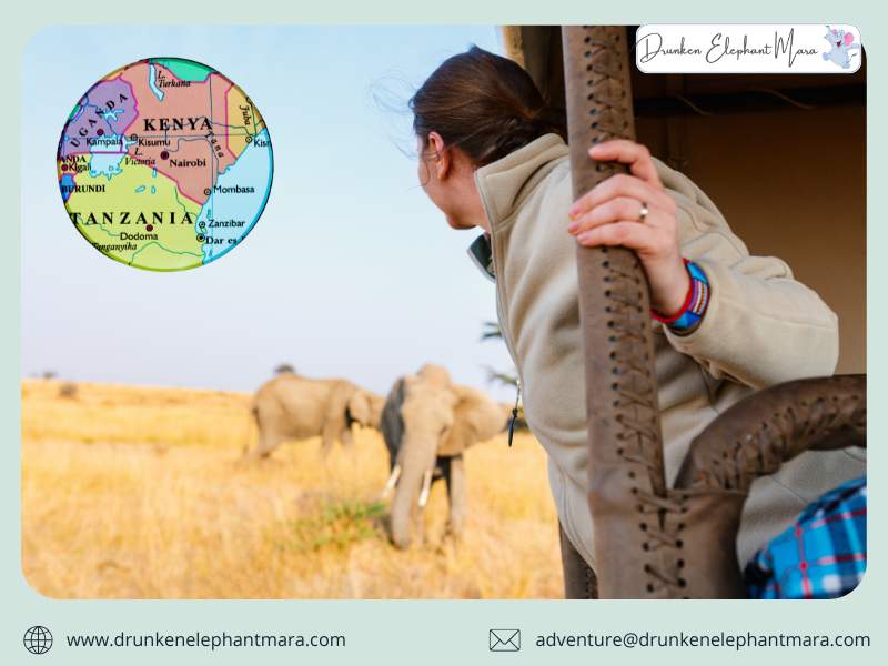 African Safari