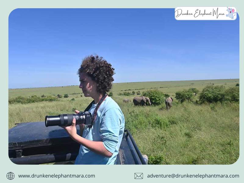 African Safari