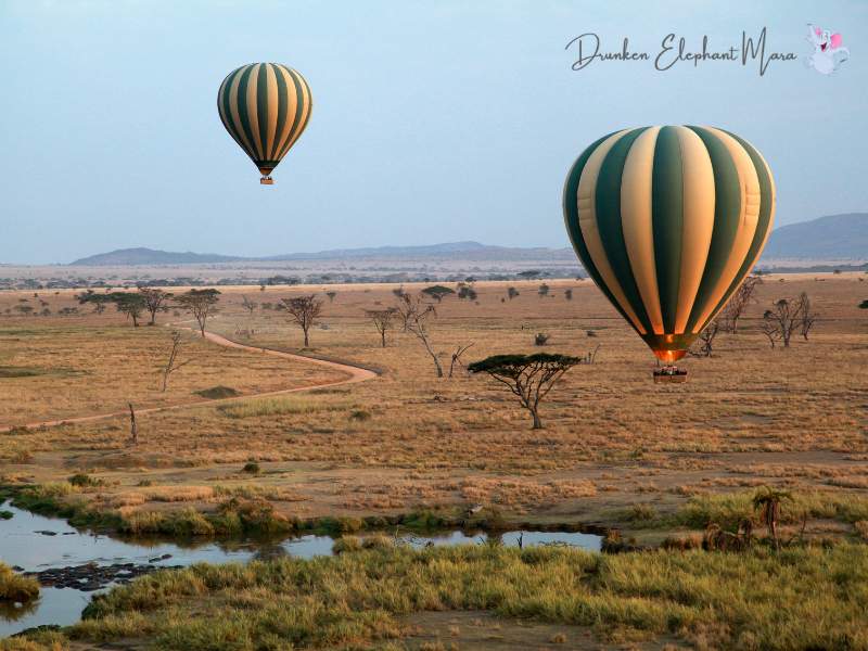 Hot air balloon safari
