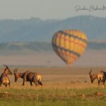Hot Air Balloon kenya