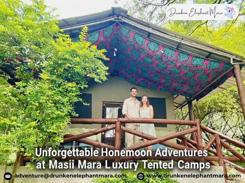 Safari Luxury Tents
