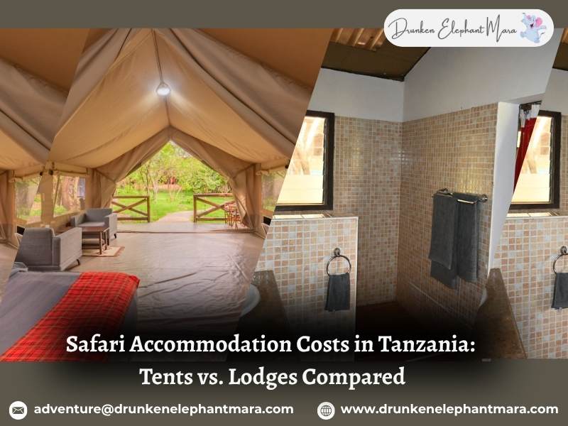 Safari Accommodation
