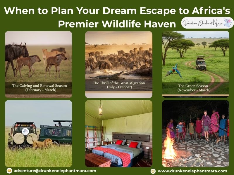 Best Time to Visit Masai Mara