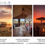 Luxury Tented Accommodation