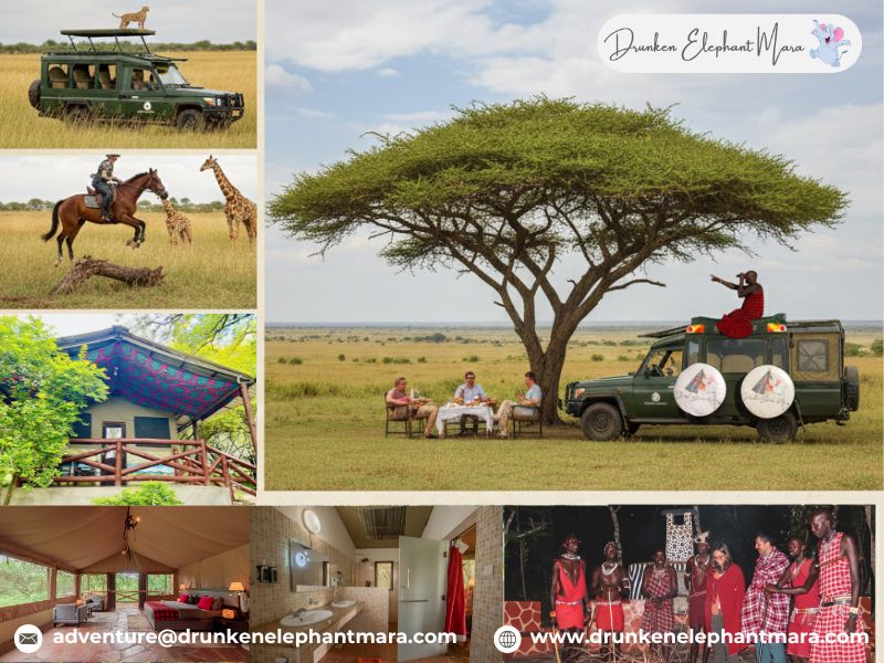 Great Migration Impact Safari