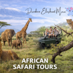 African Safari Tours