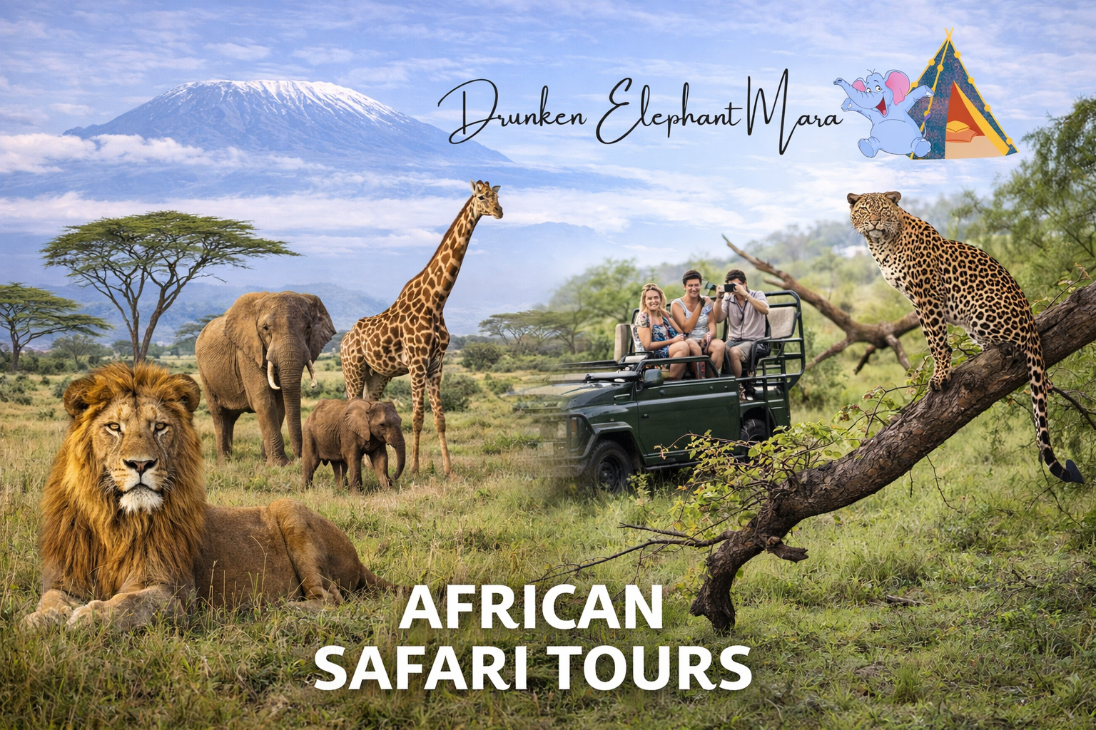 African Safari Tours