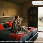 Luxury Safari Lodges