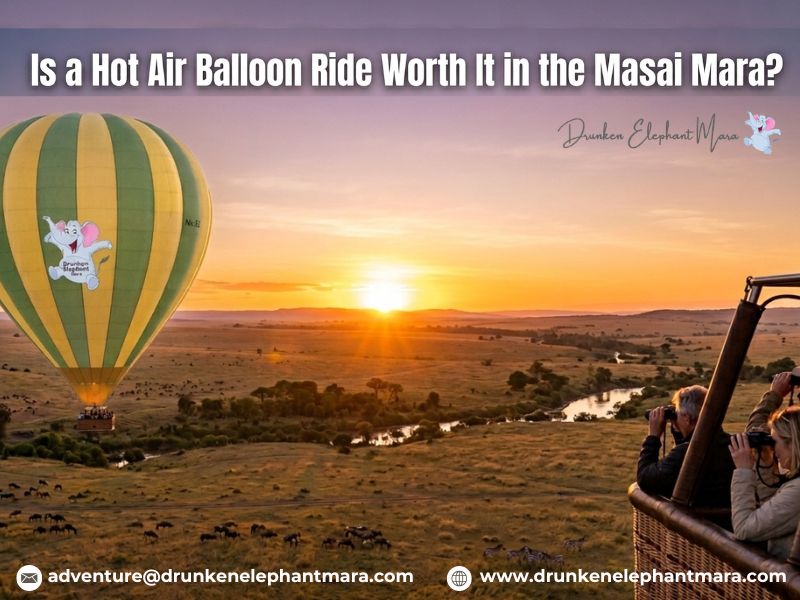 Hot Air Balloon