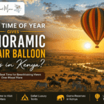 Hot Air Balloon