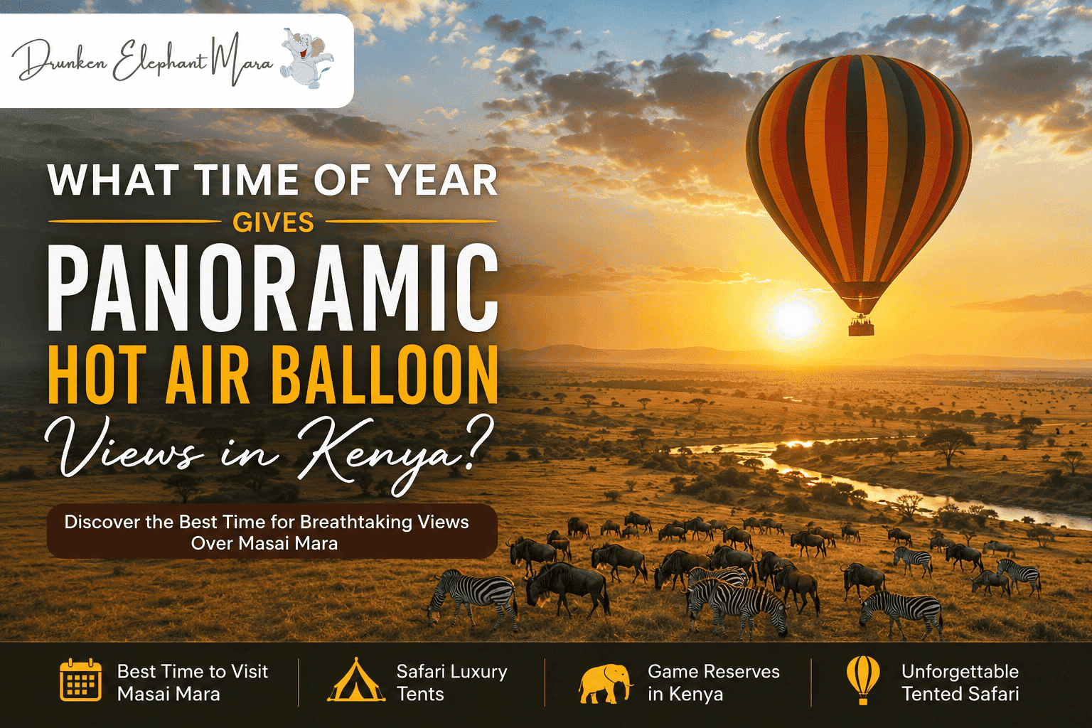 Hot Air Balloon