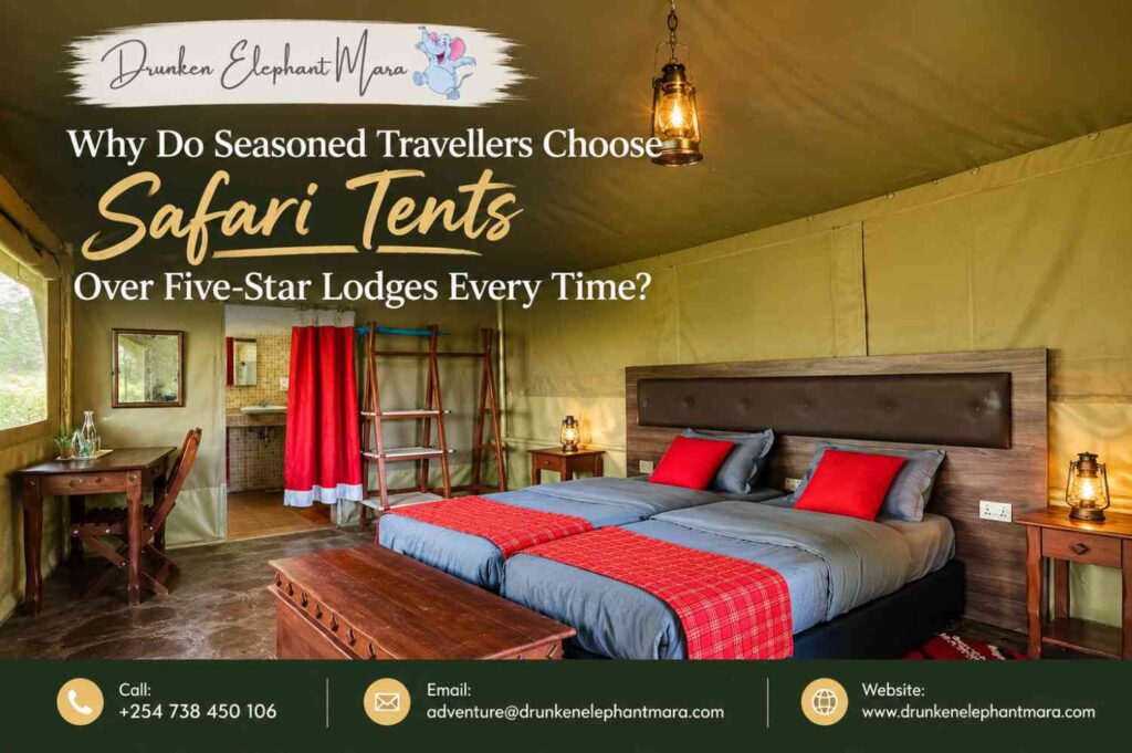 Luxury Tented Accommodation