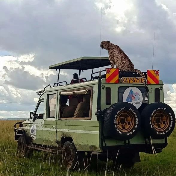 Game Drives