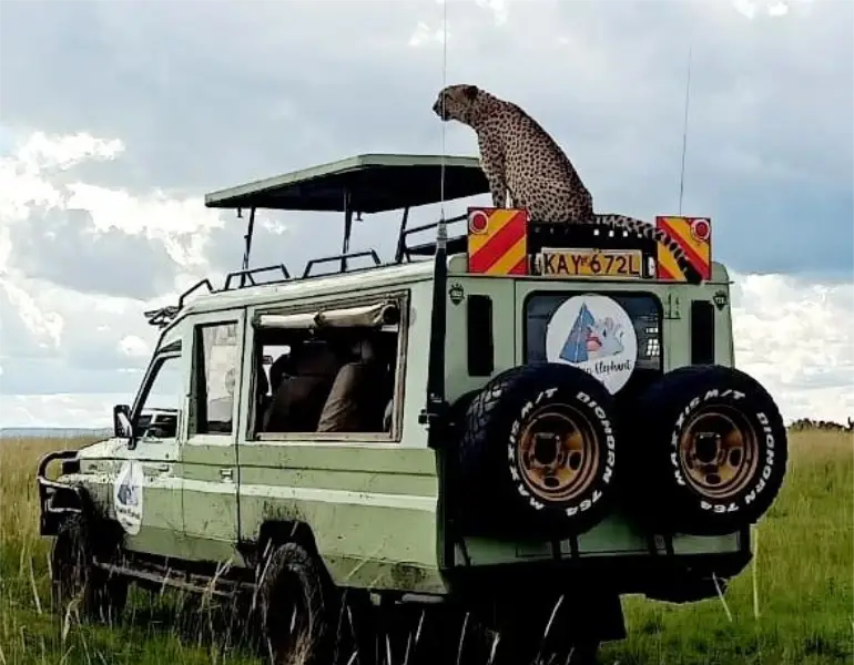 Tented Camp