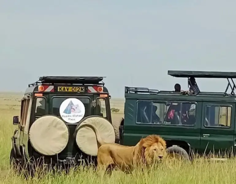Tented Camp