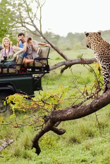 Game Drives