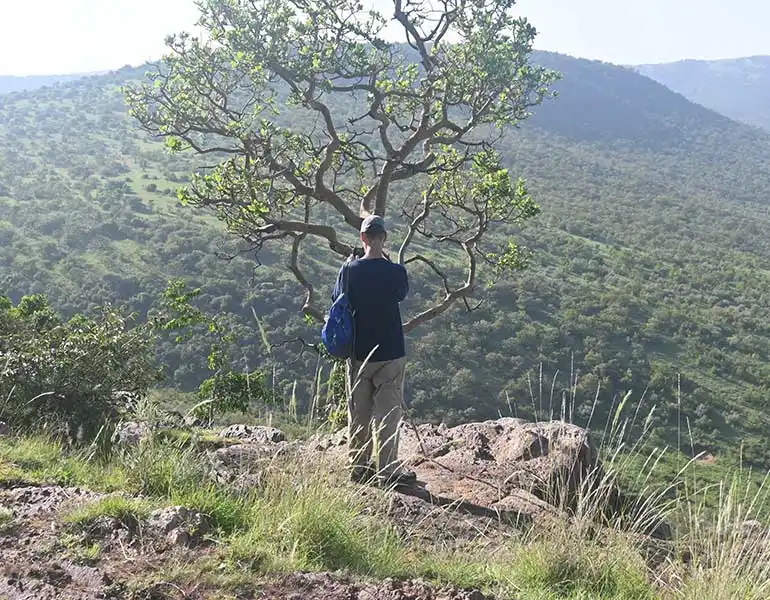 Nature Walks