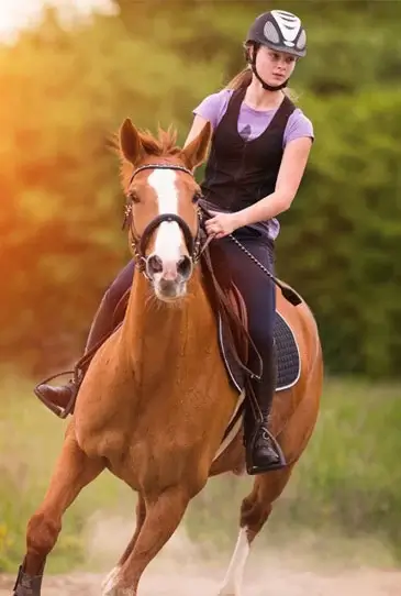 Horse Riding