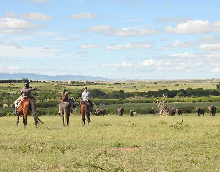 Horse Riding