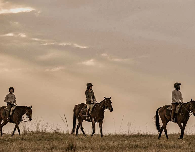 Horse Riding