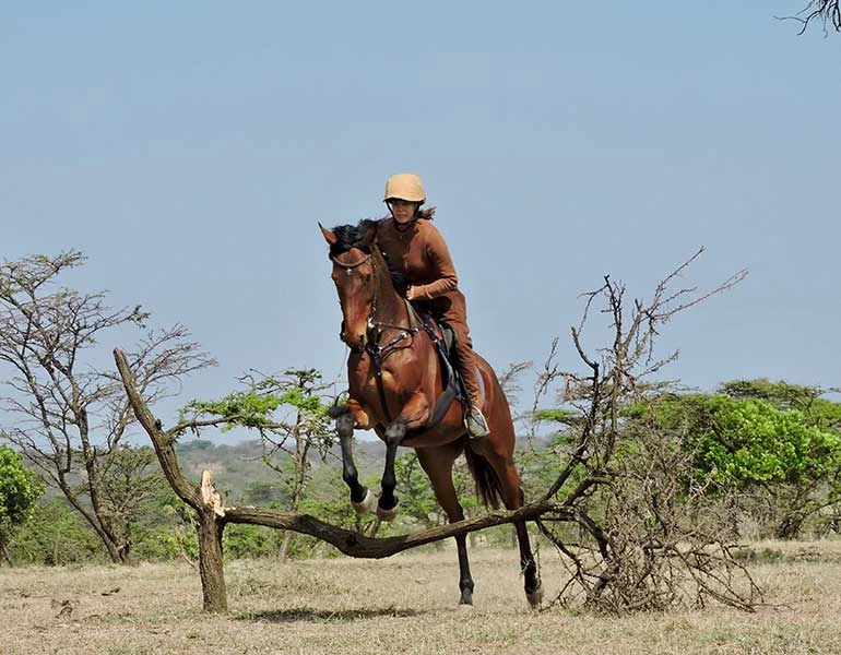 Horse Riding