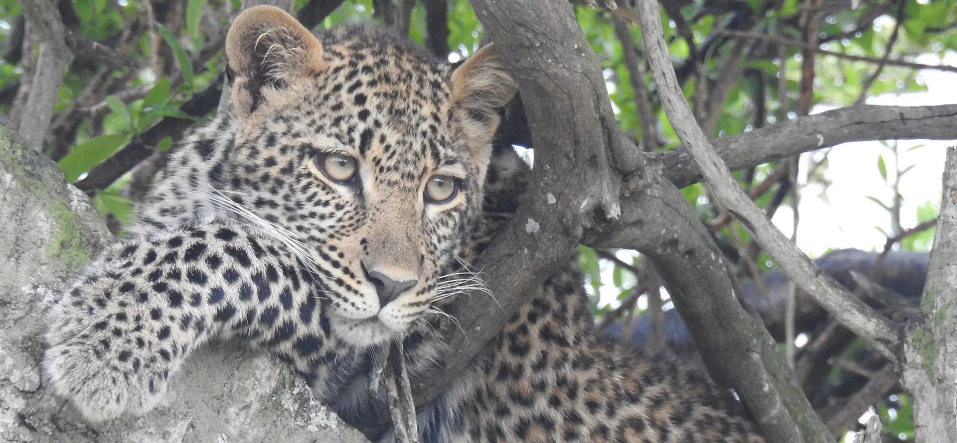 Kenya Vacation