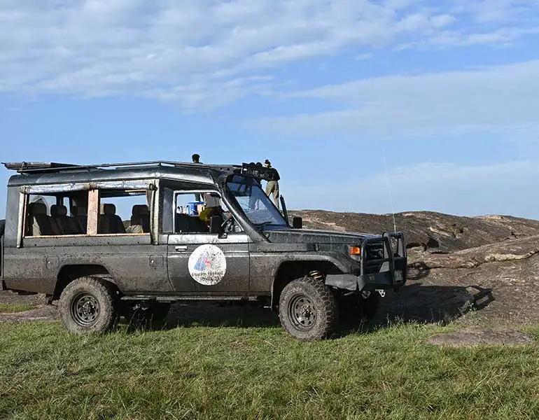 Game Drives