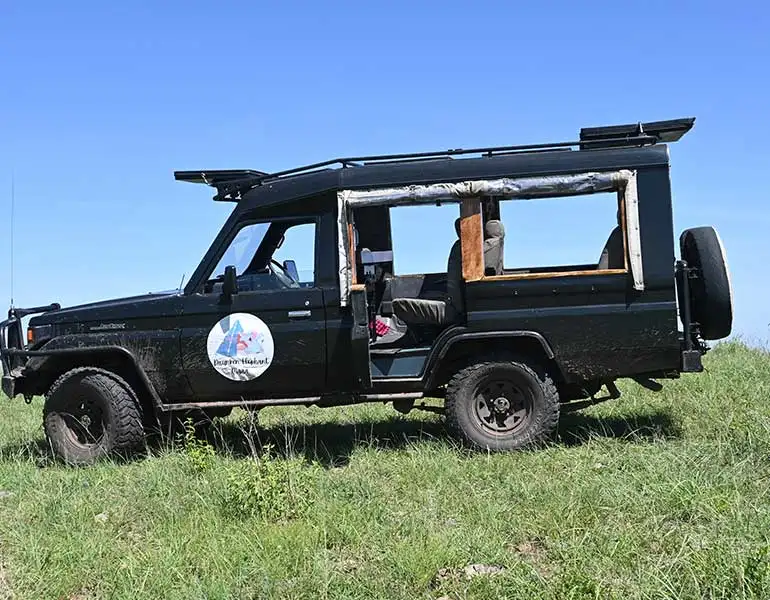 Game Drives
